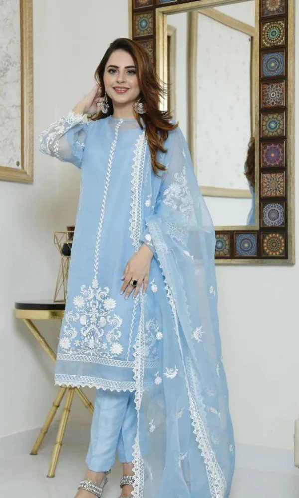 4PC Organza Embroidered Suit