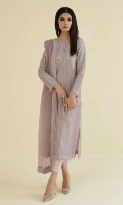Embroidered Organza Suit