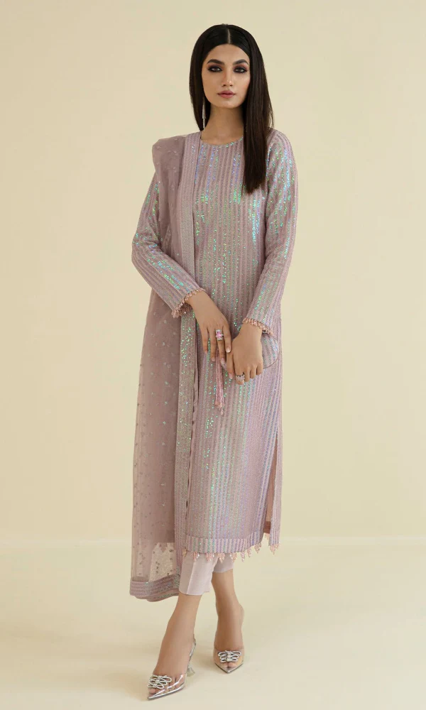 Embroidered Organza Suit