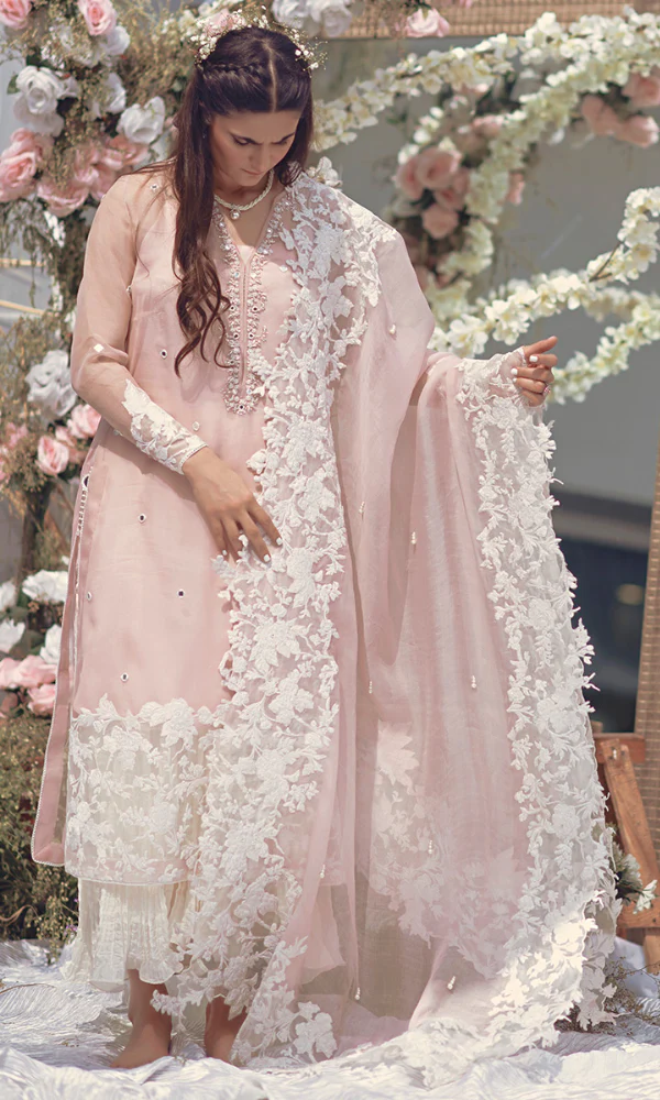 Unstitched Fully Embroidered Lawn suit
