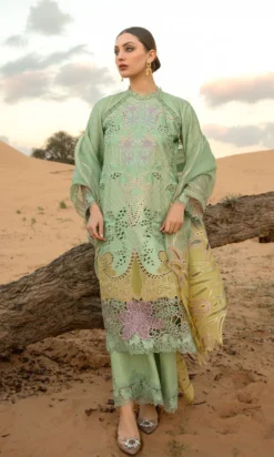 Heavy Embroidered ChikanKari Suit