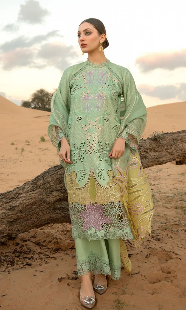 Heavy Embroidered ChikanKari Suit