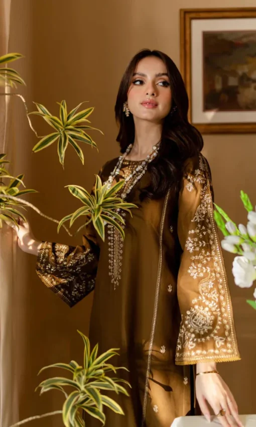 2PC Heavy Embroidered Lawn Suit [TC-6024] - Image 4