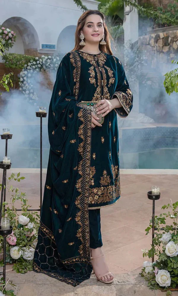 Pakistani Velvet Dress