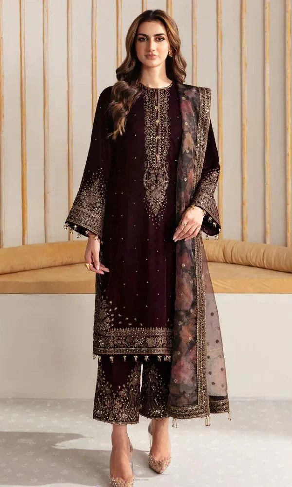 Pakistani velvet dress